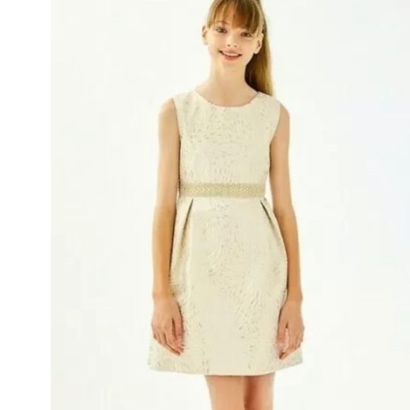 ❤️Lilly Pulitzer Dress - Picture 6 of 6